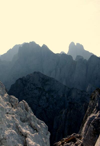 Bischofsmütze im Gegenlicht