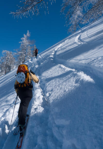 Steilstück mit ca. 35° im immer lichter werdenden Wald