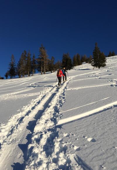 Hoher Zinken - Osterhorngruppe 