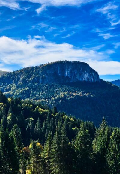 Blick zum Feichtenstein