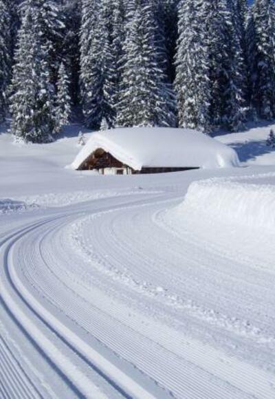 winterliche Verhältnisse auf der Lienbachloipe