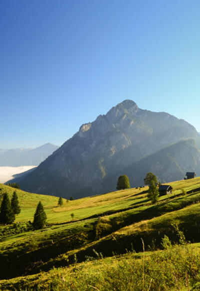 Blick vom Rundweg 1 zum Rinkogel
