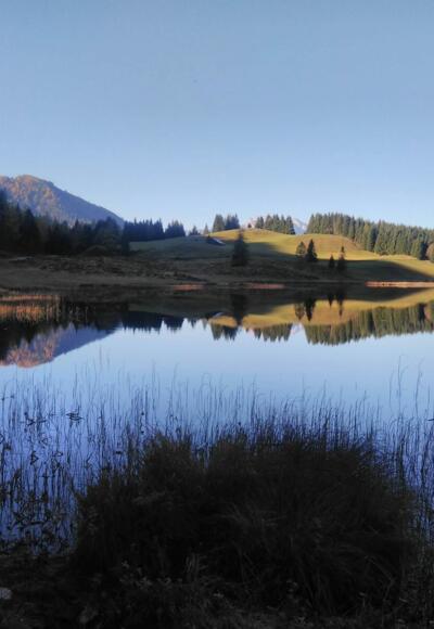 Morgenstimmung am Seewaldsee