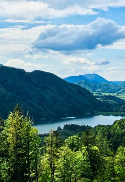 Blick auf den Hintersee