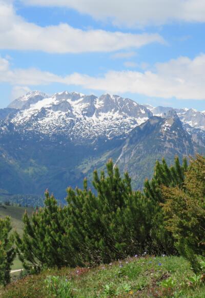 Aussicht vom Wandergebiet Zwieselalm