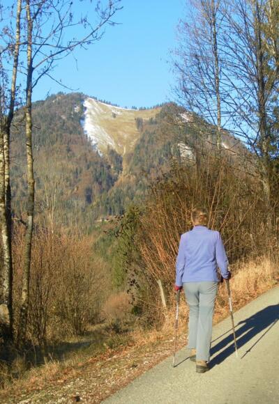Zwölferhorn aus dem Steingraben