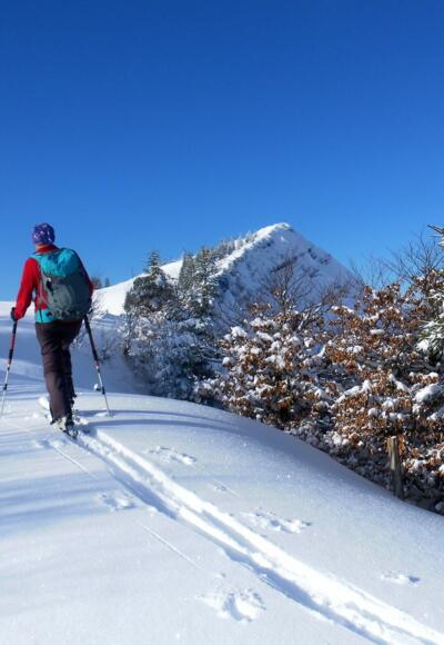 Wieserhörndl vom Anzenbergrücken
