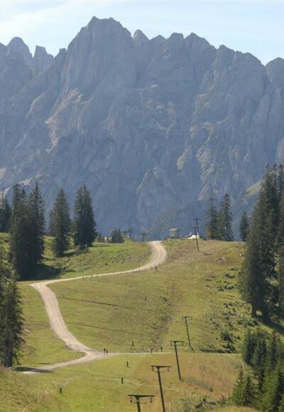 Blick auf den Gosaukamm