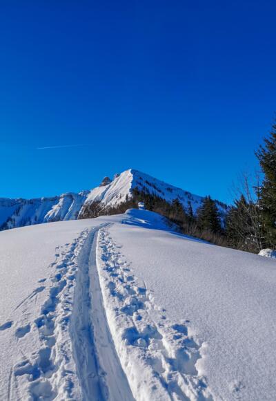 Die Route führt logisch über den Rücken und wird immer schmäler bis zum Grat hin.