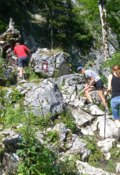 kurze Schrofenstufen