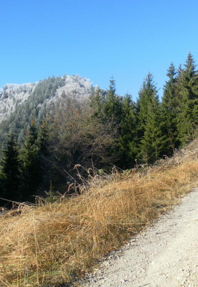 Schmiedhorn links des Sattels