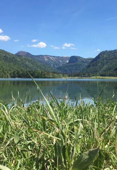 Blick vom Nordufer Richtung Hinterssee - im Hintergrund der Feichtenstein und das Königsberghorn