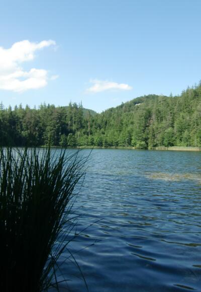 Der Eibensee lädt auch zu einem Sprung ins kühle Nass ein