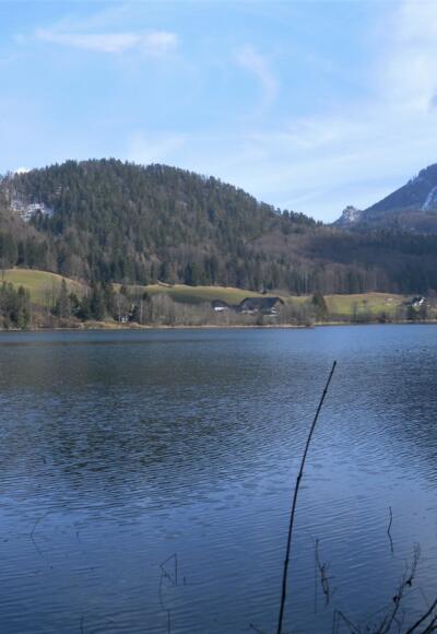 Feldberg und Schober