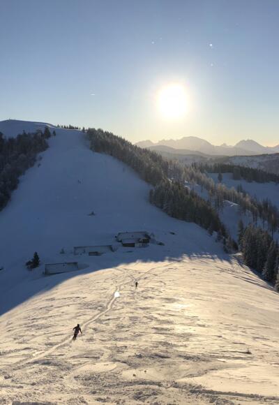 Blick auf Loibersbacher Höhe und die Almen vom Faistenauer Schafberg