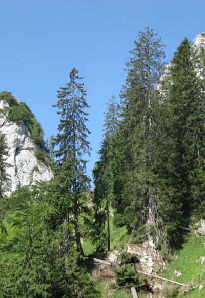 Kleiner und Großer Sparber - Anstieg in die Scharte