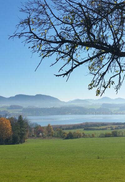 Ausblick auf den Wallersee