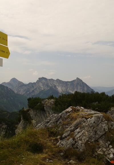 Am Rosskopf - Im Hintergrund Rinnkogel, Bergwerkskogel und Rettenkogel (v.l.n.r.)