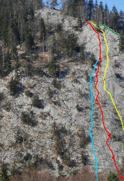 Übersicht: Edelweiss (hellblau) Äskulap (orange) Flipperl (gelb) Juniperus (grün)