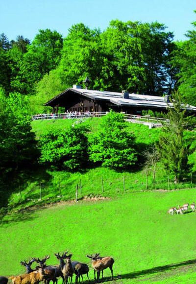 Wolfschwang Wanderung