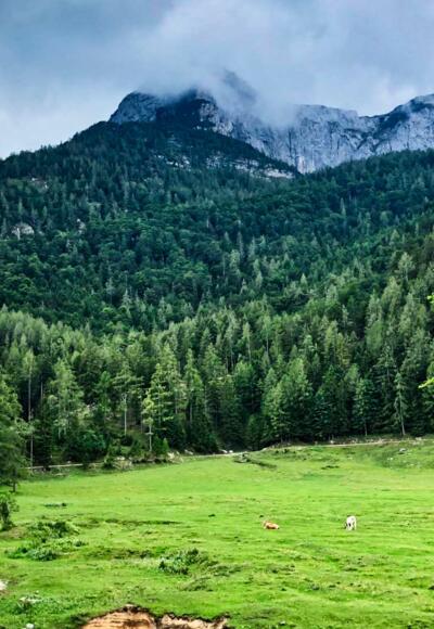 Eisenaualm mit Schafberg