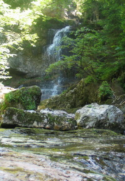 Wald Wasser Zauber Weg