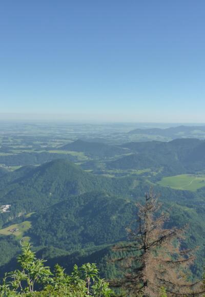 Blick vom Ochsenberg auf den Strumberg 