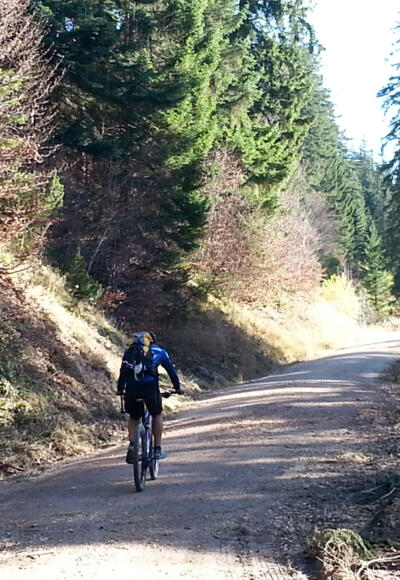 In Inzell gehts auch rasant bergauf.