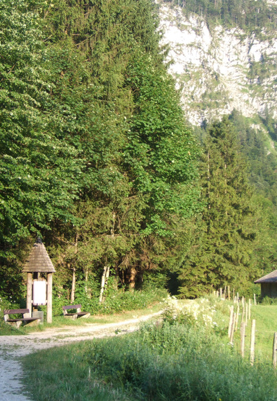 inzell kienbergl runde zwing