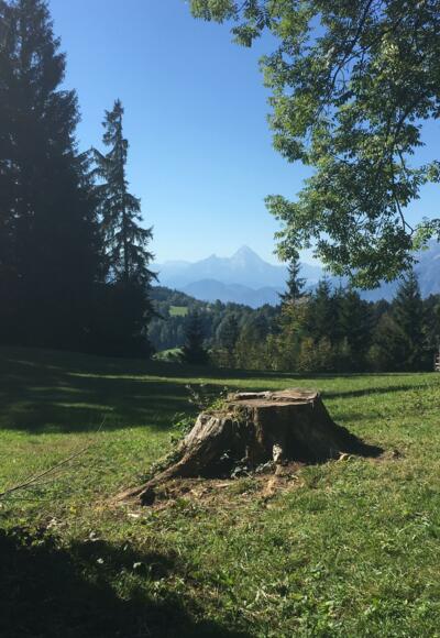 Blick auf den Watzmann 