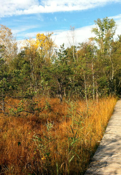 Wanderung durch das BurgerMoos