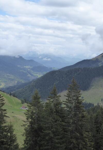 Blick vom Sudelfeldkopf aus