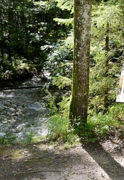 Bierlehrpfad - Station &quot;Brauwasser&quot;