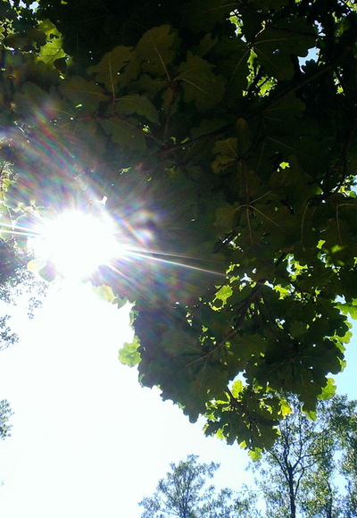 kleiner Kurpark Prien am Chiemsee