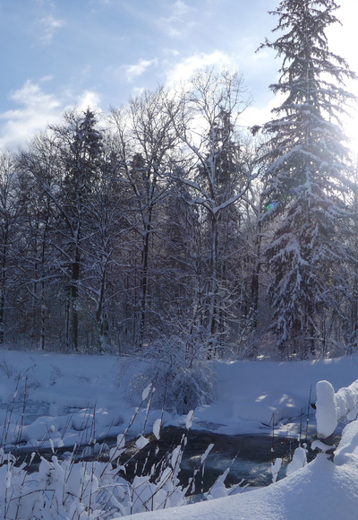 Winterwanderweg am Auerbach an der Bahnbrücke