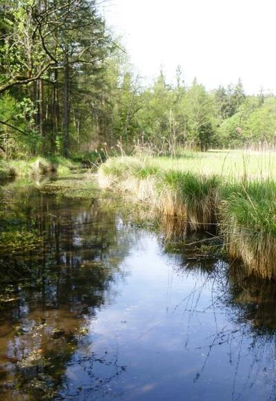 Natur erleben im Chiemsee-Alpenland