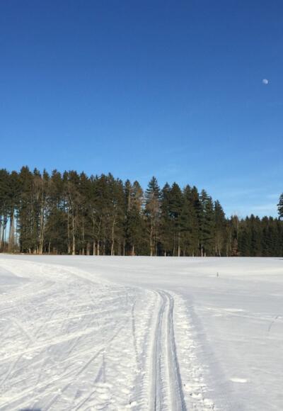 Loipenparadies Samerberg