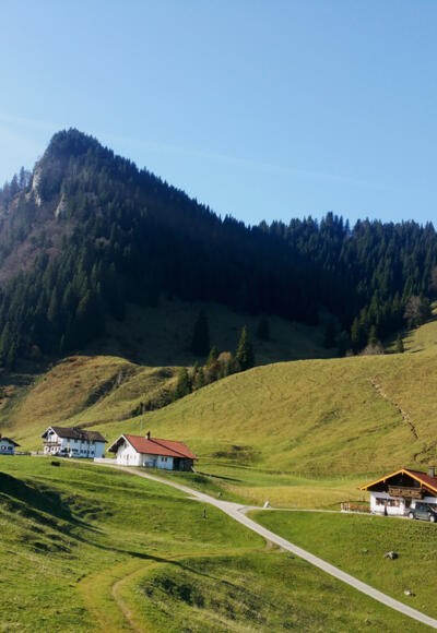 Daffnerwald-Almen unterhalb des Heubergs