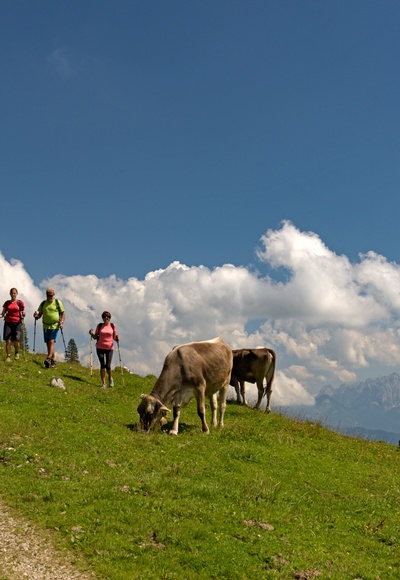 Wandern im Brünnsteingebiet/Himmelmoos Almen