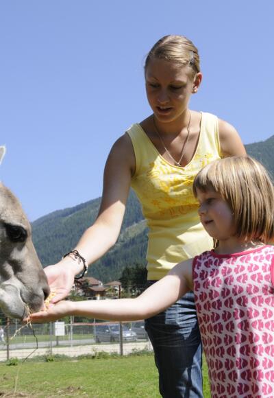 Wildpark Untertauern