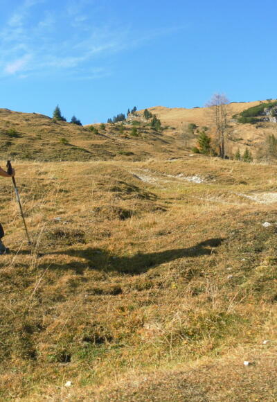 oberhalb der Seewaldhütte