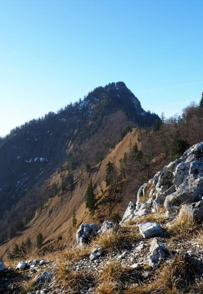 Wandlkogel 1251m mit Hochkogel