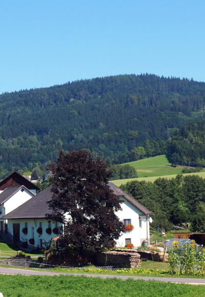 Traberg 953 m, Höf im Vordergrund