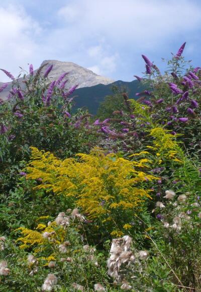 Kurz nach dem Start, Blick zum Gatschkopf