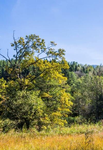 Radeln rund um Pfaffing