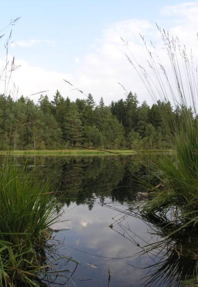 &quot;Grundloser See&quot; bei Gstadt