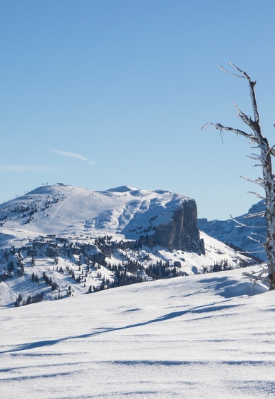 bezaubernde Winterlandschaft