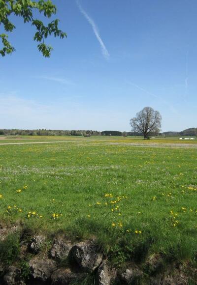 Weite Blicke über blühende Wiesen