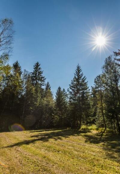 Radeln rund um Pfaffing