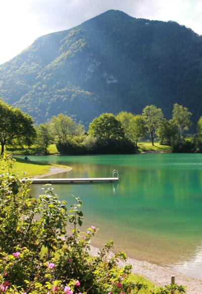 Der nahe gelegene Reifinger See